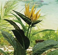 Aitkens Australia in the Round - Newcastle Accommodation