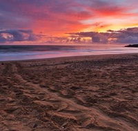 Mon Repos Beach - New Castle Tourism