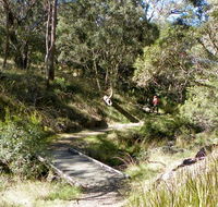 Wollomombi walking track - Newcastle Accommodation