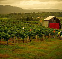 Around Hermitage Wine and Food Trail Hunter Valley - Newcastle Accommodation
