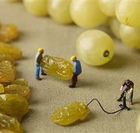 Hunter Valley Wine School - New Castle Tourism