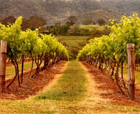 Hunter Valley Wine School - New Castle Tourism 1