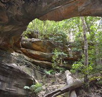 Cave Creek Walking Track - Newcastle Accommodation