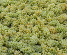 Normanby Wines - Newcastle Accommodation 0