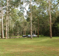 Mill Creek picnic area - Newcastle Accommodation