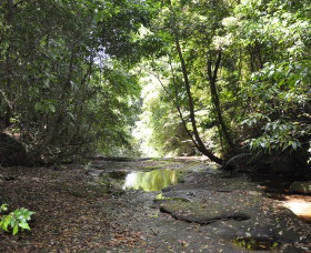 State Forests Of The Watagan Mountains - Newcastle Accommodation 1