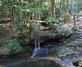 State Forests Of The Watagan Mountains - Newcastle Accommodation 3