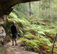 Dharug National Park - Newcastle Accommodation