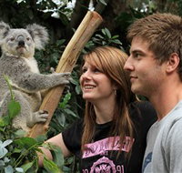 Featherdale Wildlife Park