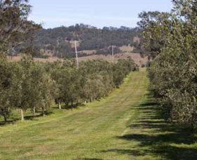 Bunna Bunoo Olive Grove - Newcastle Accommodation 1