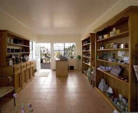 Bunna Bunoo Olive Grove - Newcastle Accommodation 2