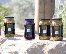 Bunna Bunoo Olive Grove - Newcastle Accommodation 4