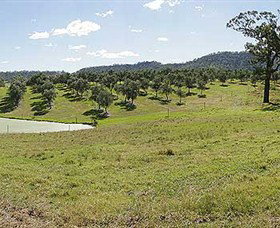 Bunna Bunoo Olive Grove - Newcastle Accommodation 5