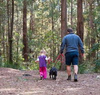 Olney State Forest - Watagan Mountains - New Castle Tourism