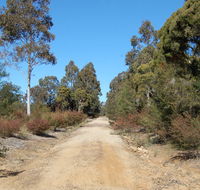 Werakata National Park - Newcastle Accommodation