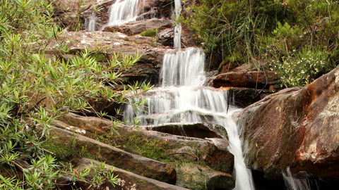 Popran National Park - New Castle Tourism 1