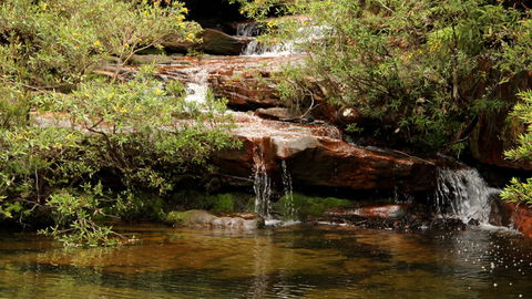 Popran National Park - New Castle Tourism 2