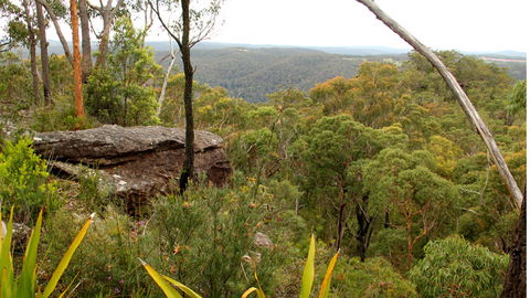 Popran National Park - New Castle Tourism 3