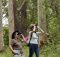 Chichester State Forest - New Castle Tourism