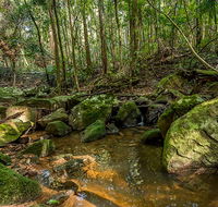 Palm Grove Nature Reserve - New Castle Tourism