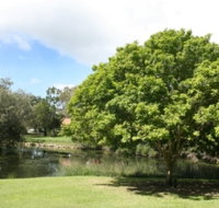 Hervey Bay Botanic Gardens - New Castle Tourism