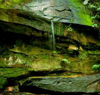Strickland State Forest - New Castle Tourism