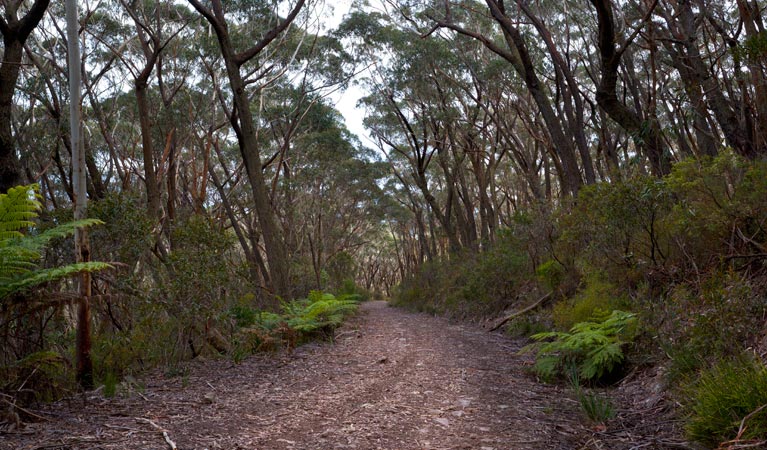 Yadboro NSW New Castle Tourism