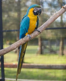 Amazement Farm And Fun Park / Cafe And Farmstay Accommodation - Newcastle Accommodation 8