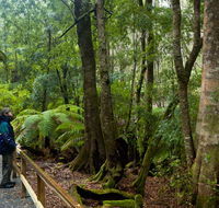 Monga National Park - Newcastle Accommodation