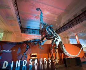 Australian Museum - Newcastle Accommodation 0