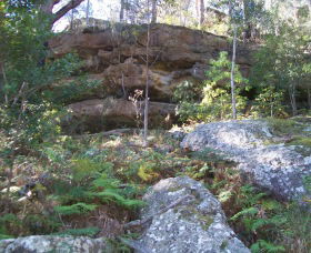 Nowra East NSW New Castle Tourism