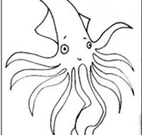 Squid Studio - New Castle Tourism