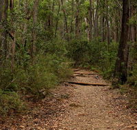 Pigeon House Mountain Didthul walking track - New Castle Tourism