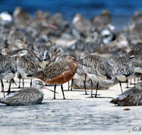 Cooloola Nature - New Castle Tourism