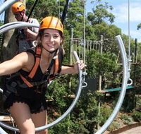 Wild Ropes at Taronga Zoo - Newcastle Accommodation