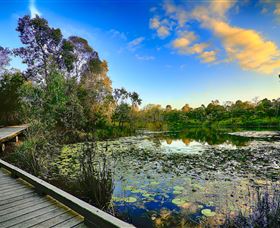 Berrinba Wetlands - New Castle Tourism 0