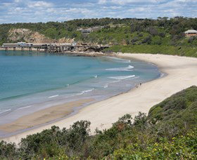 Catherine Hill Bay Beach - Newcastle Accommodation 1