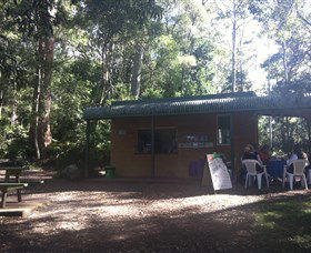 Ellenborough Falls - New Castle Tourism 1