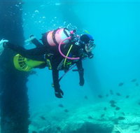 Shellharbour Scuba  Photography Centre