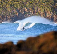 Killalea Beach - Newcastle Accommodation