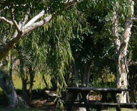 Sextonville NSW New Castle Tourism