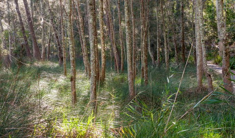 Anabranch Loop Track - Newcastle Accommodation 0