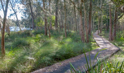 Anabranch Loop Track - Newcastle Accommodation 3