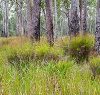 Narrawallee Inlet walking track - New Castle Tourism