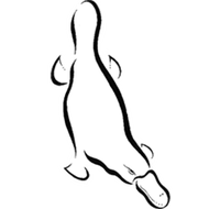 Platypus Gallery - New Castle Tourism