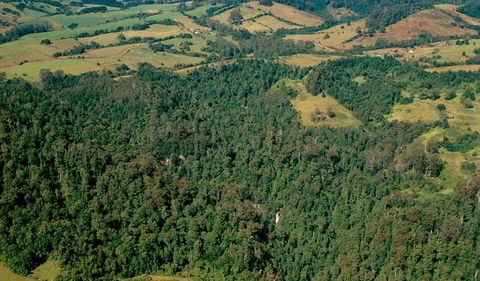 Boorganna Nature Reserve - New Castle Tourism 0