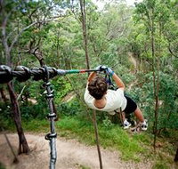 TreeTop Challenge