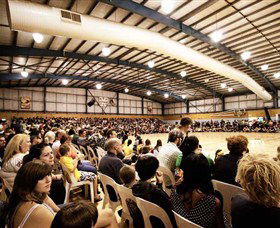 Mount Warren Sports Centre - New Castle Tourism 0