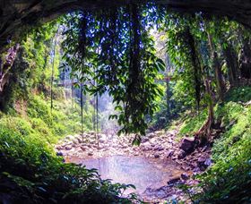 Dorrigo Rainforest Centre - New Castle Tourism 1