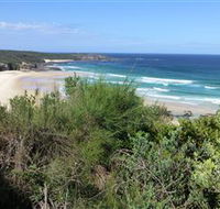 South Pacific Heathland Reserve - New Castle Tourism